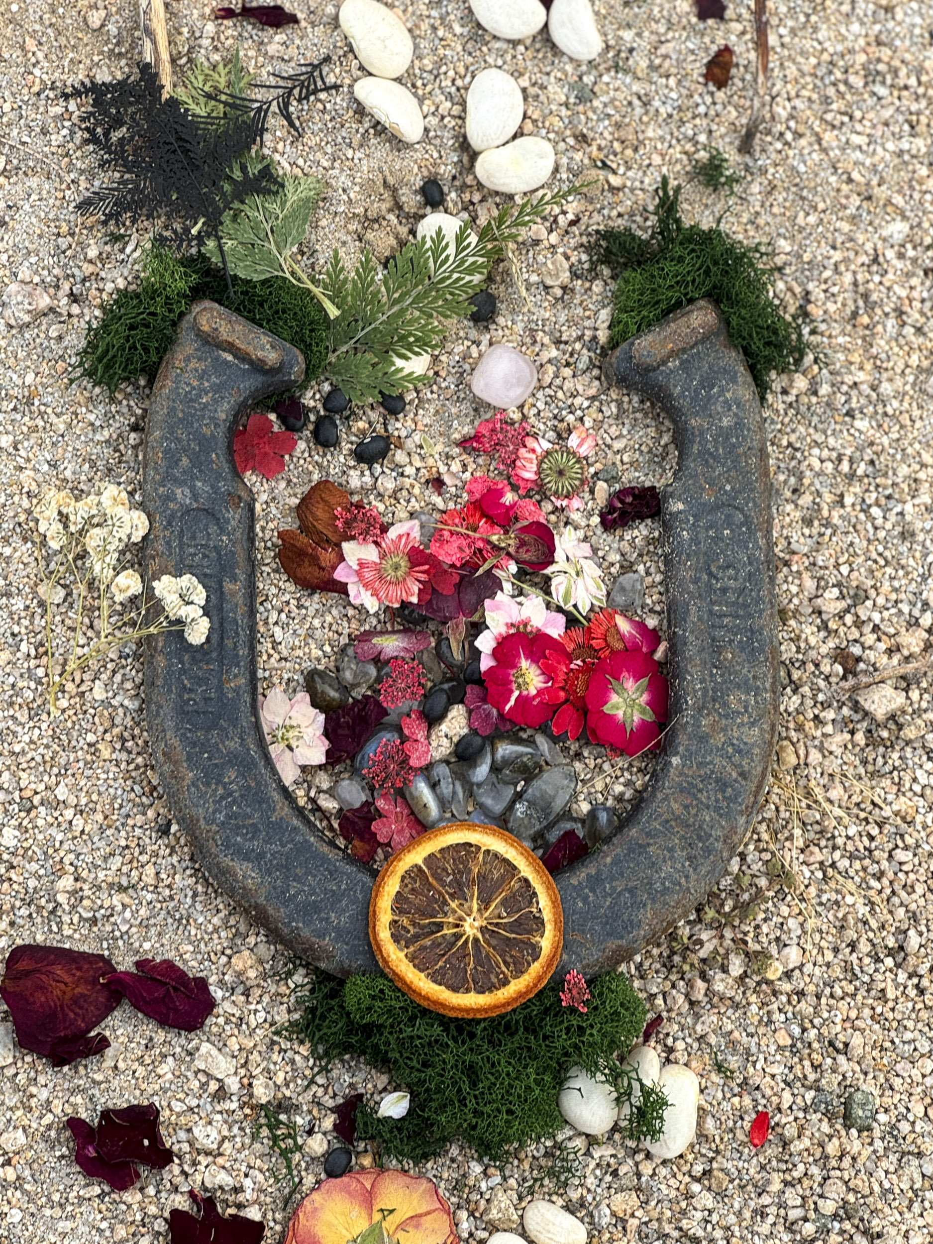 A horseshoe arranged on gravel with rose petals, stones, moss, greenery, and a dried orange slice.